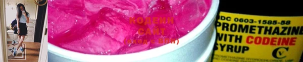 эйфоретик Алзамай