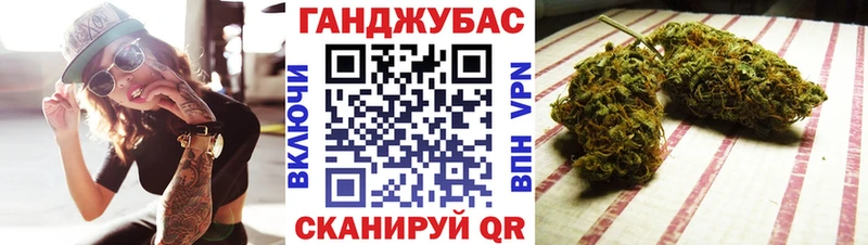 Шишки марихуана SATIVA & INDICA  как найти   Суджа 